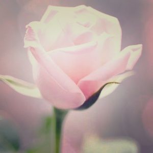 Meet your Posher, Adriana